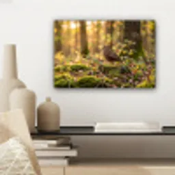 Houtsnip - Bos - Bladeren - Herfst - Gecamoufleerd canvas 2cm klein -sfeer6