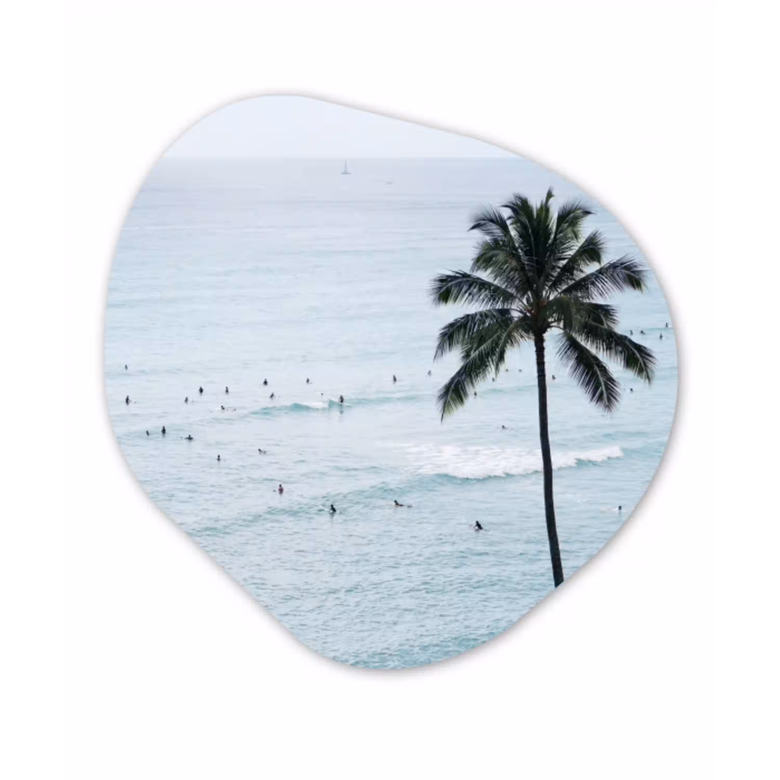 Oceaan - Palmbomen - Surfers Wandcirkel Organisch Forex 3mm klein -3d