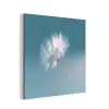 Paardenbloempluisje - Blauw - Lucht aluminium wit klein -3d