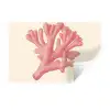 Koraal - Stipjes - Roze Muursticker klein -3d