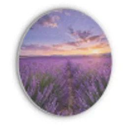 Lavendel - Veld - Natuur - Paars Akoestische PET Vilt - Rond klein -3d
