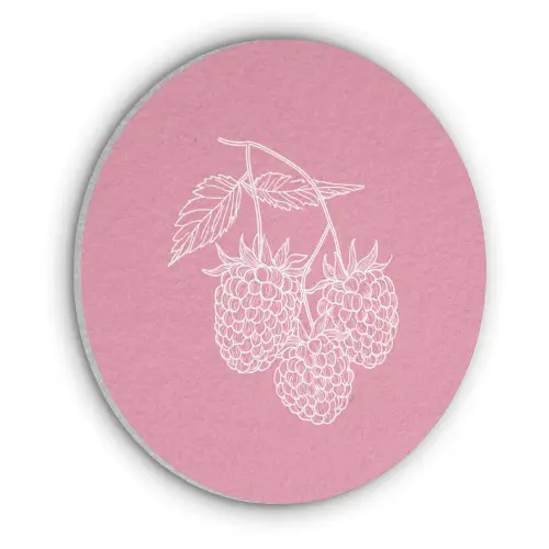 Frambozen - Steel - Getekend - Roze Akoestische PET Vilt - Rond klein -3d