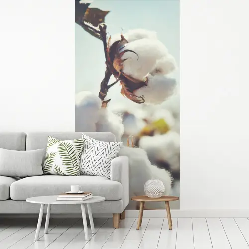 Katoenplanten in de natuur fotobehang vinyl groot -woonkamer