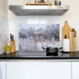 Schermbloem - Rijp - Kristallen - Winter - Delicaat Inductie beschemer met haakjes klein -sfeer2