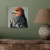 Vogel - Realistisch - Veren - Bruin aluminium wit klein -sfeer2