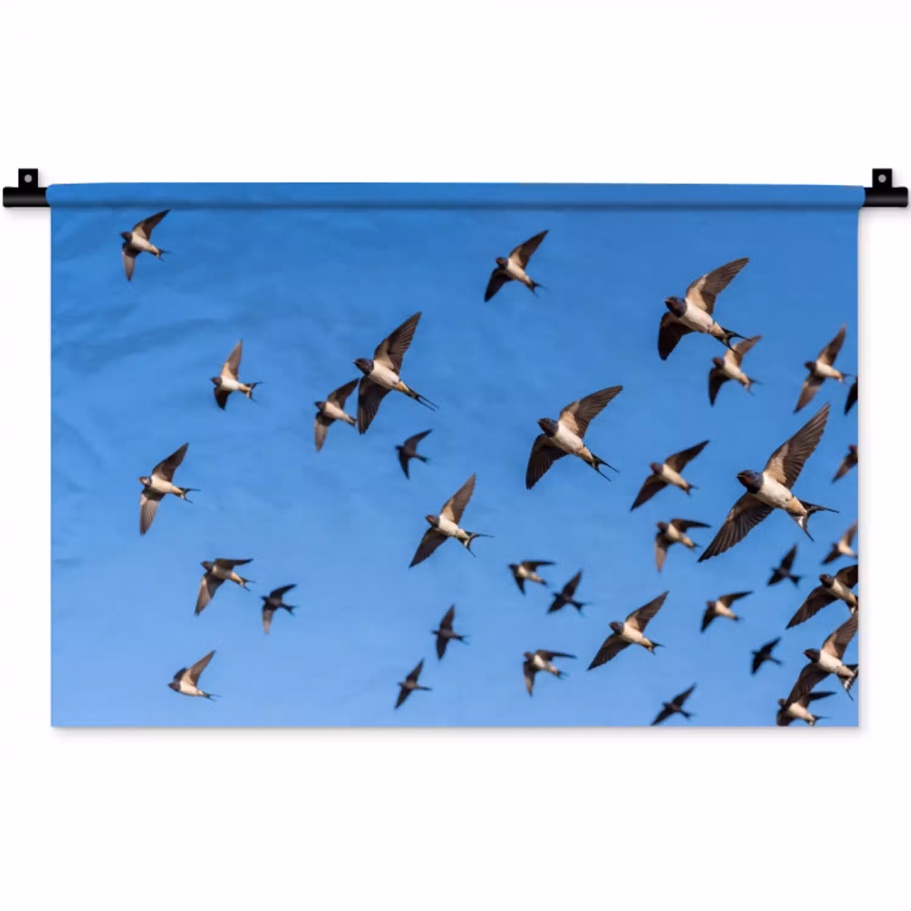 Zwaluwen - Vliegen - Blauw Wandkleed katoen klein -zz3d