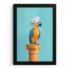 Papegaai - Koksmuts - Grappig - Vogel fotolijst zwart zonder passe partout klein -3d
