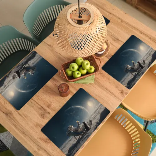 Maan - Kat - Astronaut - Ruimte Placemat vinyl groot -zzsfeer5_Kitchenyeah-website
