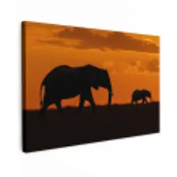 Olifanten - Savanne - Zonsondergang canvas 2cm klein -z3d
