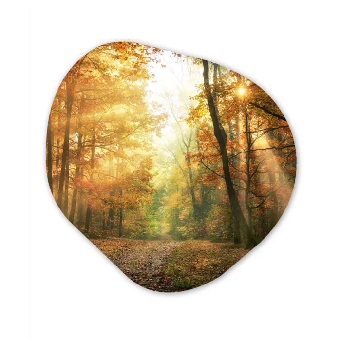 Bos - Herfst - Zon - Landschap - Natuur - Bomen - Bladeren Wandcirkel Organisch Forex 3mm klein -3d