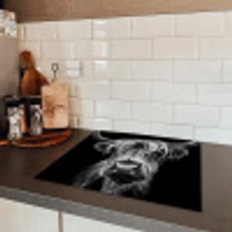 Nachtvisioen Inductie beschermer vinyl 3mm middel -sfeer3