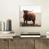 Schotse hooglander - Dieren - Landelijk - Landschap - Koe - Natuur aluminium wit klein -sfeer1