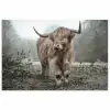 Schotse Hooglander - Bos - Mist - Koe - Dieren - Natuur poster papier klein -3d