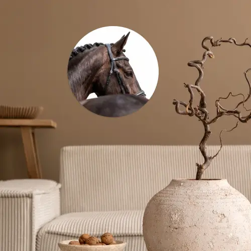 Portret - Paard - Elegant Wandcirkel behangsticker klein -sfeer1