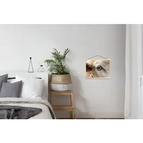 Schaap - Oog - Wit textielposter latten blank klein -woonkamer