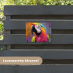 Papegaai - Kleurrijk - Schilderij - Tropisch tuinposter los doek klein -sfeer3