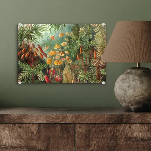 Design - Natuur - Paddenstoelen - Ernst Haeckel plexiglas 5mm klein -sfeer3