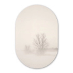Boom - Mist - Sneeuw - Winter - Minimalistisch Wandcirkel Ovaal Forex klein -3d
