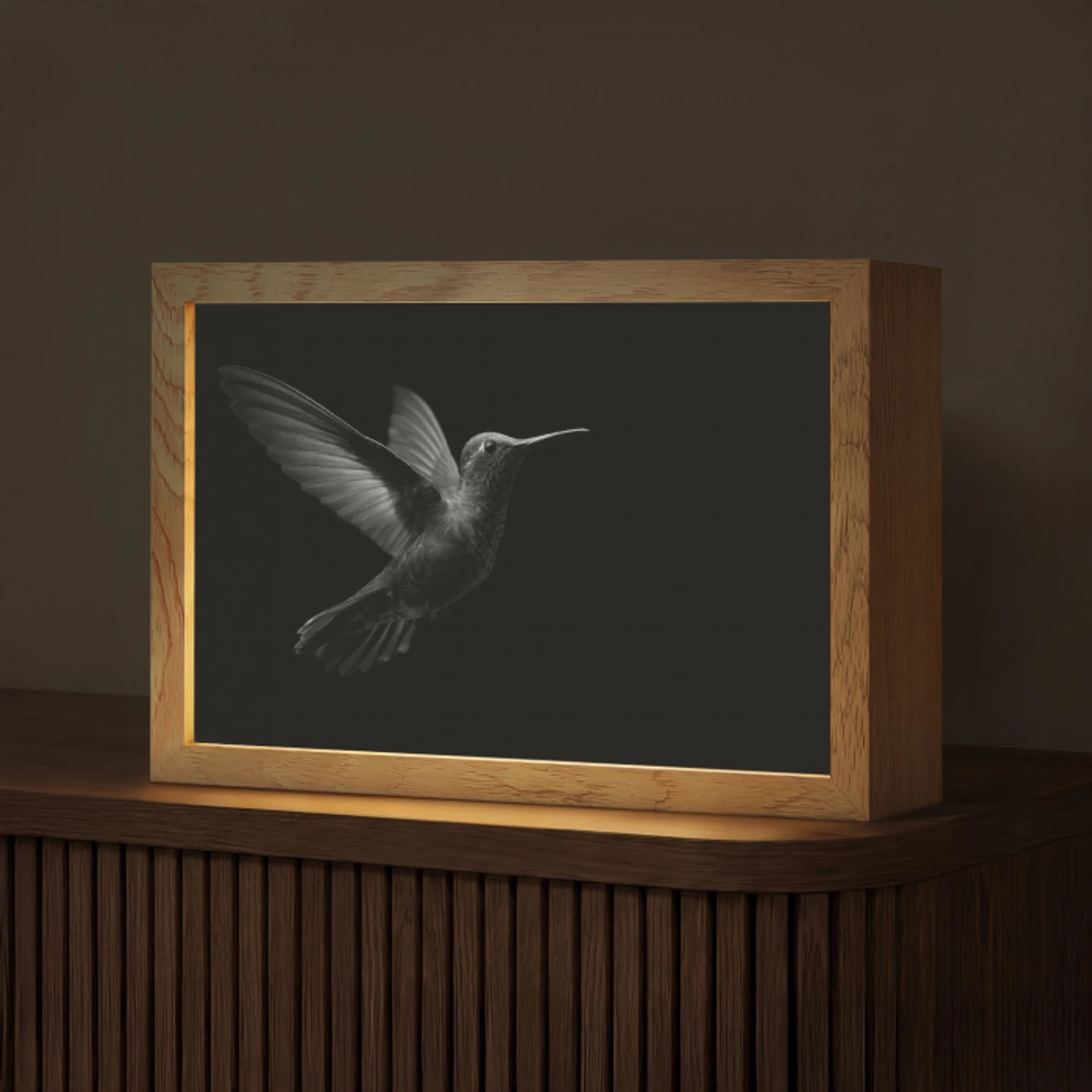 Kolibrie - Zwart - Dieren Light Box met kabel (Tafellamp) klein -z3d_website
