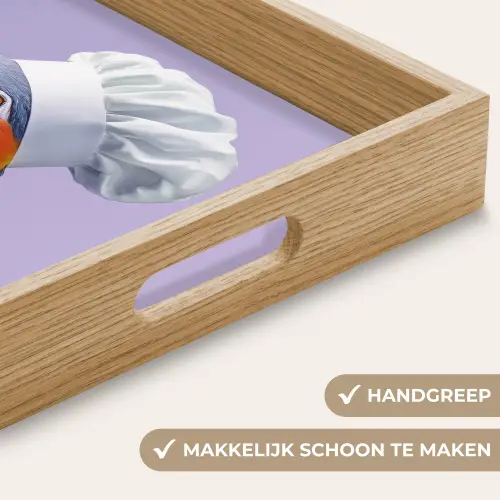 Papegaai - Koksmuts - Paars - Cute Dienblad Rechthoek middel -USP_HandgreepNL