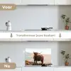Schotse hooglander - Dieren - Landelijk - Landschap - Koe - Natuur keuken achterwand spatscherm klein -voor_na_NL