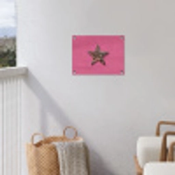 Ster - Luipaard - Print - Roze tuinposter los doek klein -sfeer8
