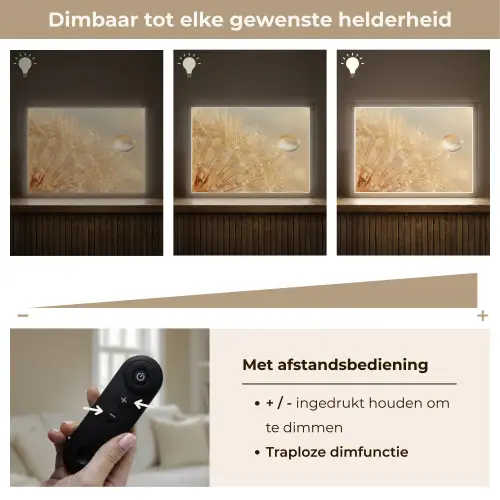 Paardenbloem - Water - Natuur - Planten - Modern Light Box met batterij (Wandlamp) middel -USP_dimbaarNL