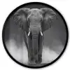 Olifant - Zwart - Wit - Rook Fotolijst rond zonder passe partout klein -3d