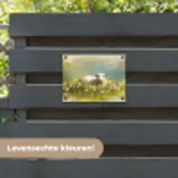 Schaap - Weide - Groen tuinposter los doek klein -sfeer3