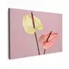 Bloemen - Anthuriums - Geel - Roze Tuinposter op houten frame 2 cm dik klein -3d