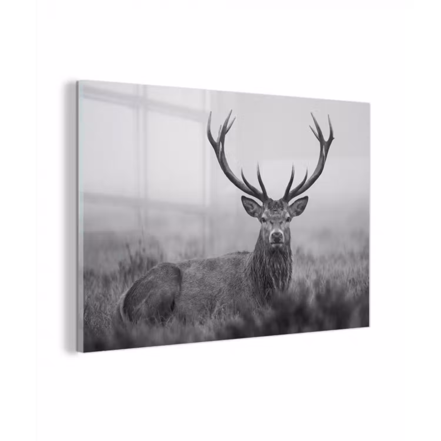 Glasbild - Hirsch - Neblig - Schwarz - Weiß