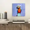 Papegaai - Koksmuts - Vogel - Leuk plexiglas 5mm klein -sfeer1