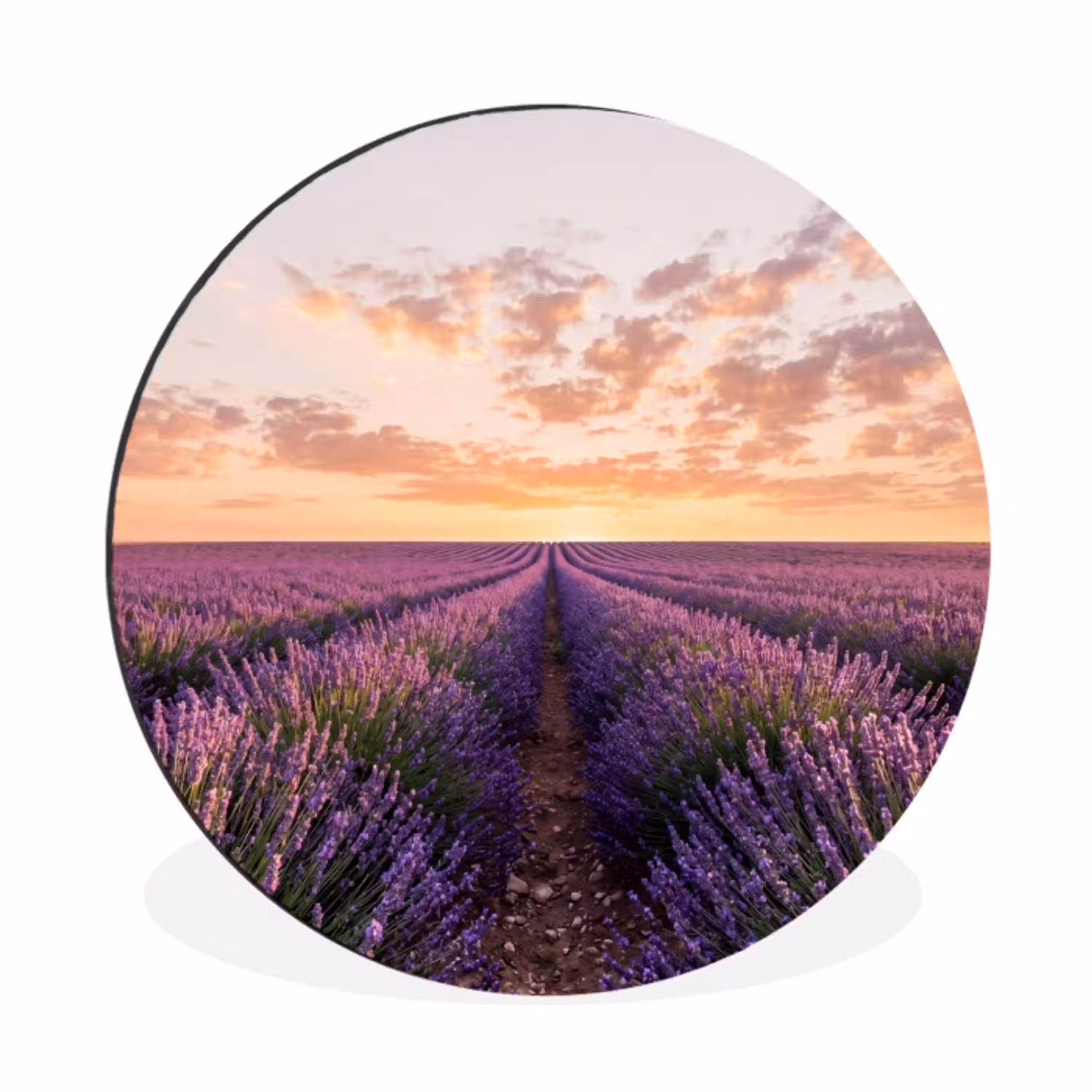Landschap - Lavendelveld - Paars Wandcirkel aluminium klein -3d