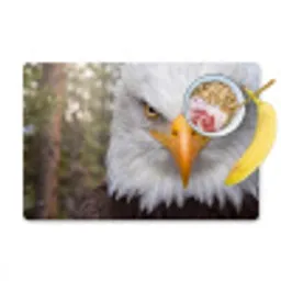 Amerikaans - Zeearend - Portret - Geel Placemat vinyl groot -zzzproduct_Kitchenyeah-website