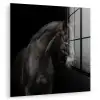 Paard - Dieren - Zwart - Portret plexiglas 5mm klein -zzzproduct_nieuw