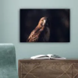 Roofvogel - Buizerd - Bruin canvas 2cm klein -sfeer4