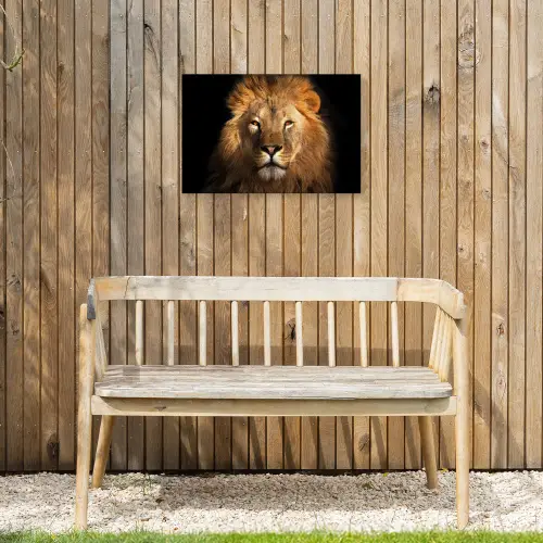 Leeuw - Dieren - Zwart - Licht - Bruin - Portret Tuinposter op houten frame 2 cm dik klein -sfeer4