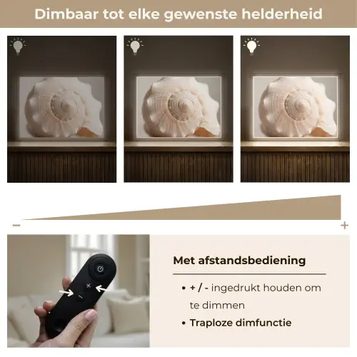 Schelp - Detail - Beige Light Box met batterij (Wandlamp) middel -USP_dimbaarNL