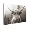 Schotse hooglander - Koe - Dieren - Zwart - Wit Tuinposter op houten frame 2 cm dik klein -3d