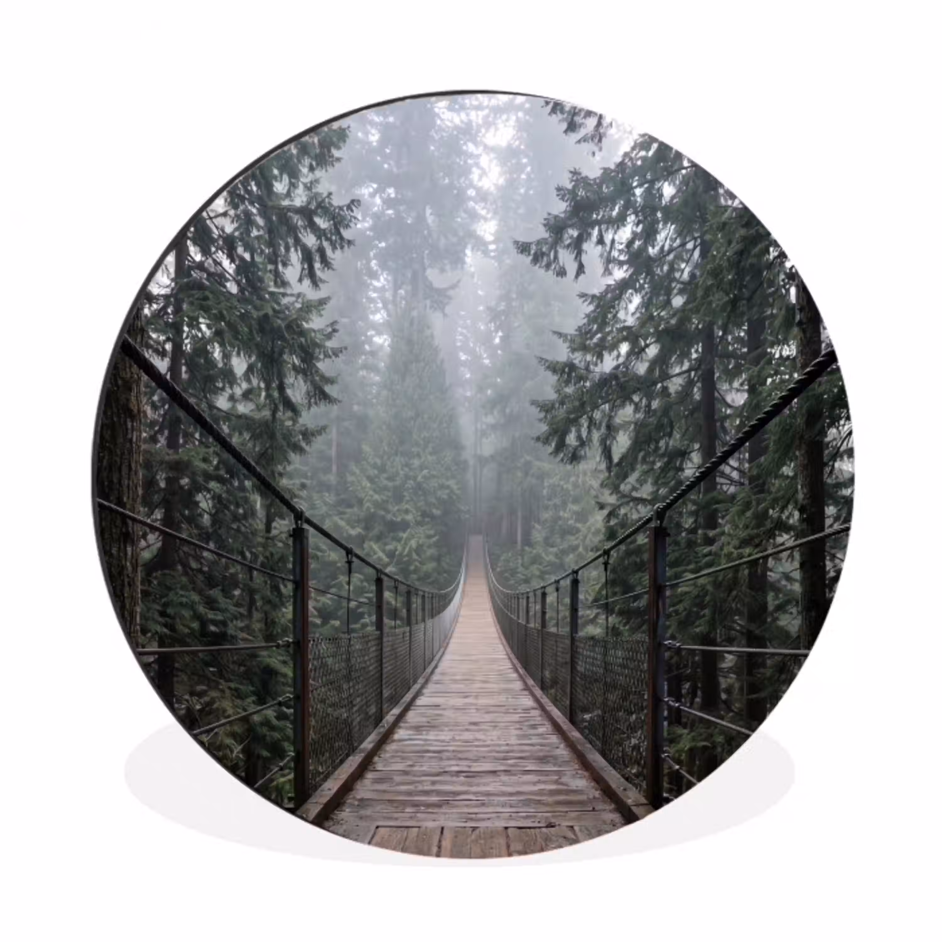 Brug - Bos - Mist - Natuur Wandcirkel aluminium klein -3d