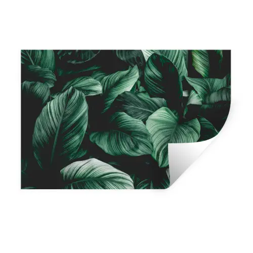 Jungle - Bladeren - Tropisch - Planten - Natuur Muursticker klein -3d