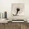 Paardenbloem - Minimalistisch - Wit aluminium wit klein -sfeer1