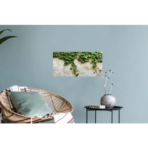 Klimop - Muur - Groen Muursticker klein -plant