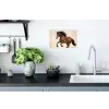Paard - Galop - Energie Muursticker klein -keuken