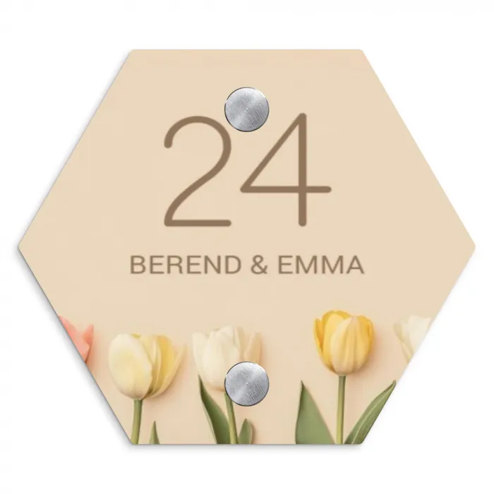 Gekleurde tulpen beige achtergrond - Klassiek Naambord Hexagon klein -3d