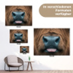 Schotse hooglander - Neus - Bruin tuinposter los doek klein -Xsfeer9_DE