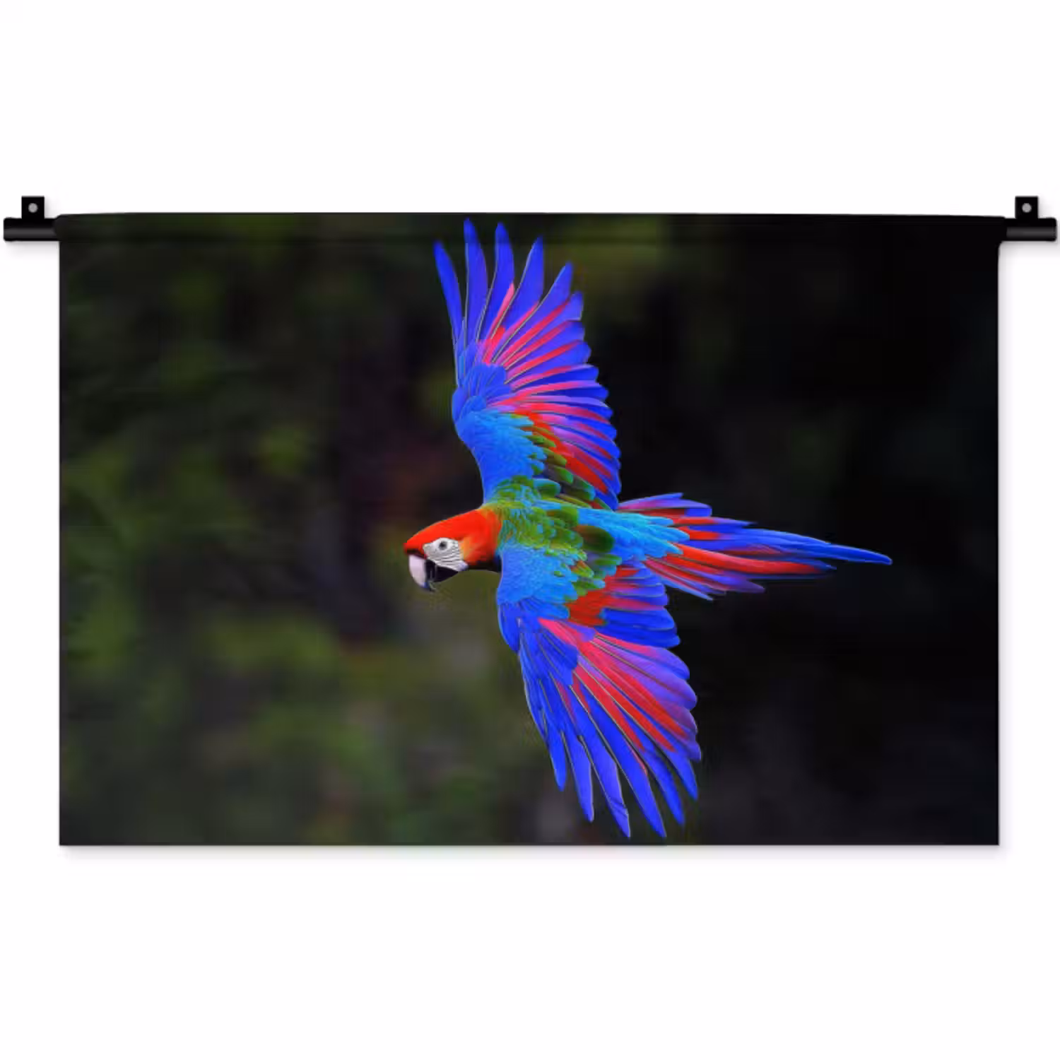 Wandkleed - Felgekleurd - Papegaai - Bos - Vleugels