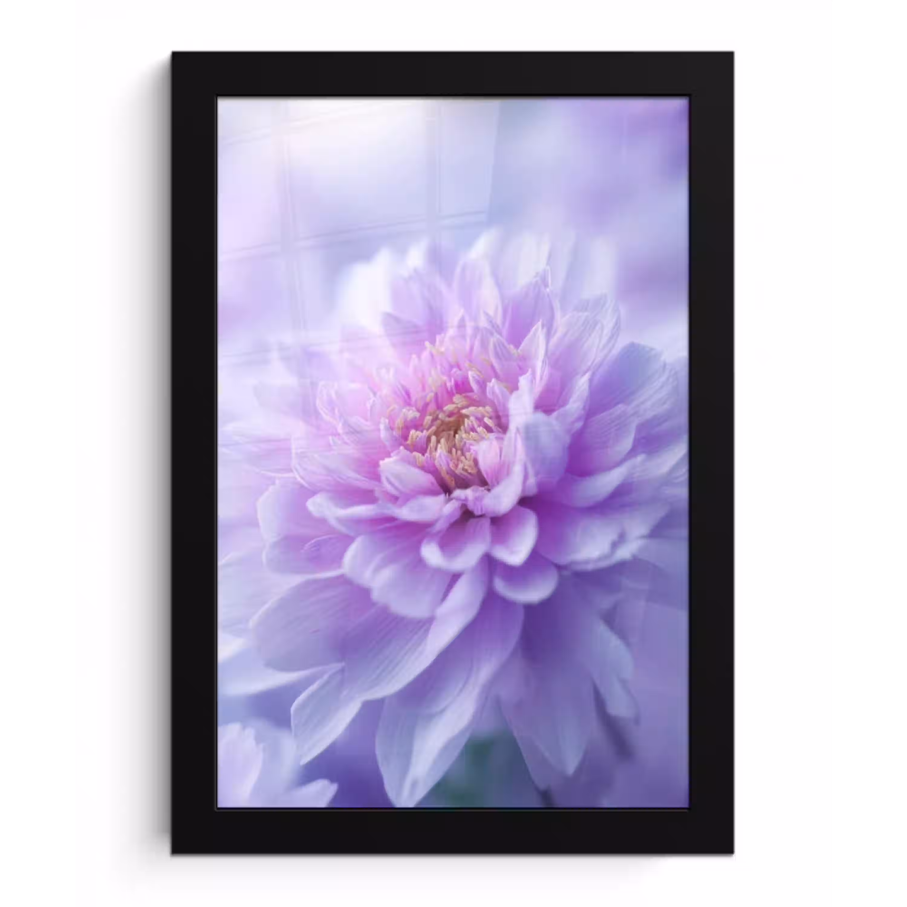 Paars - Dahlia - Dromerig fotolijst zwart zonder passe partout klein -3d