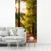 Bos - Pad - Bomen - Groen - Zon - Natuur fotobehang vinyl groot -woonkamer