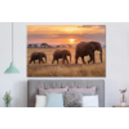 Olifanten - Savanne - Zonsondergang - Afrika - Warm forex 5mm xxl -slaapkamer